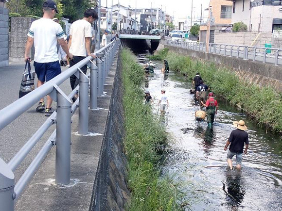 津門川川掃除